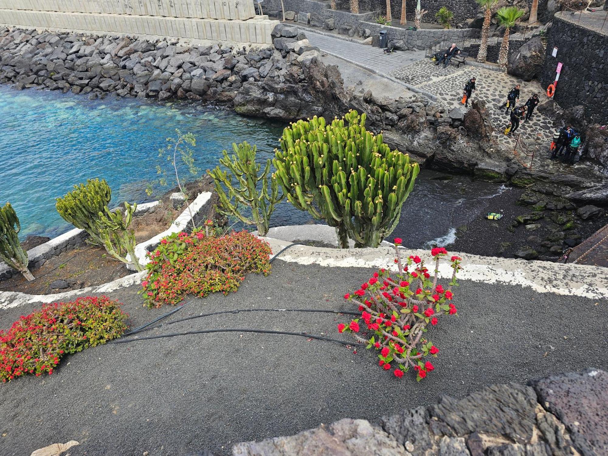 Lanzarote Harbour View Apartment